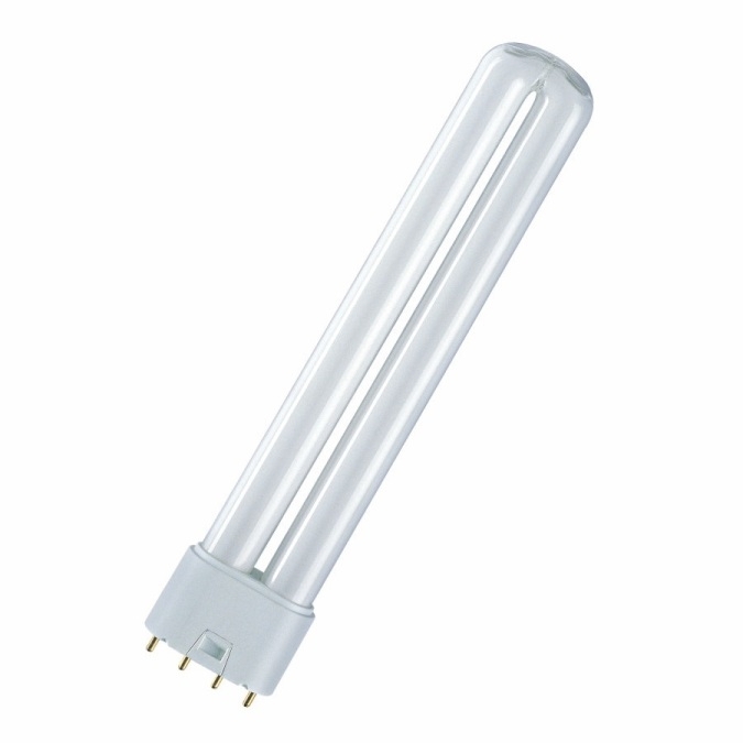Lampada fluorescente compatta Ledvance Dulux L 36W/840 2G11