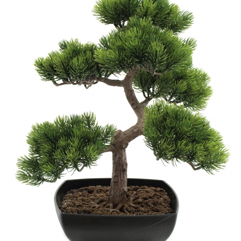 Decorazione Pino bonsai artificiale in vaso h 50 cm