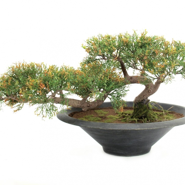 Decorazione cedro bonsai artificiale pensile h 40 cm