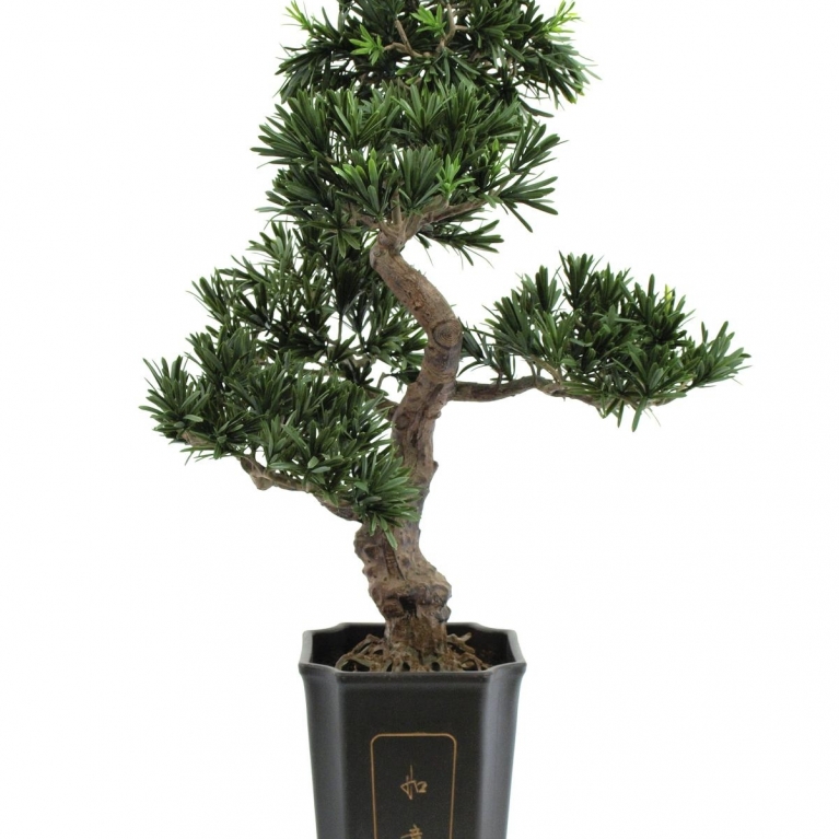 Decorazione Podocarpus bonsai artificiale 80 cm